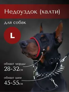 Недоуздок / халти Tesla Collar, L (с картой OZON)