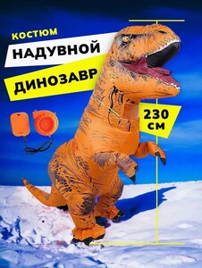Activity Image