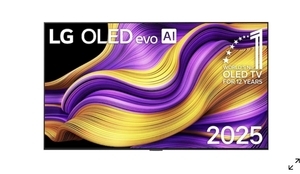 65" (164 см) Телевизор LG OLED65G5RLA 4K 120 Гц SmartTV