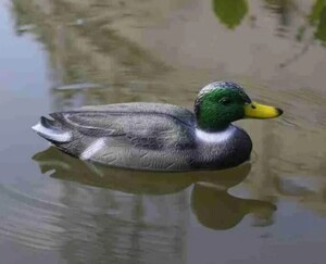 Чучело утки (с картой OZON)