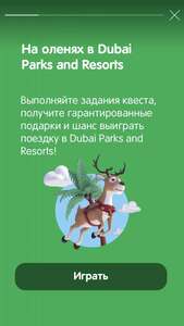 На оленях в Dubai Parks and Resorts