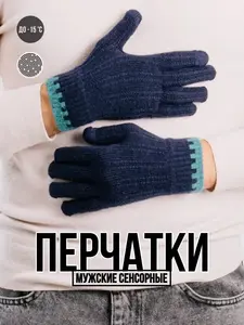 Перчатки сенсорные до  -15°C (с OZON картой) 