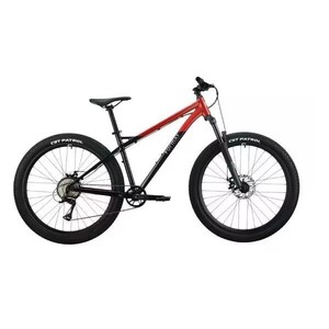 Activity Image