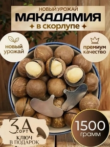 Activity Image