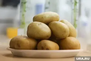[Ярославль] Картофель ранний, 1 кг 